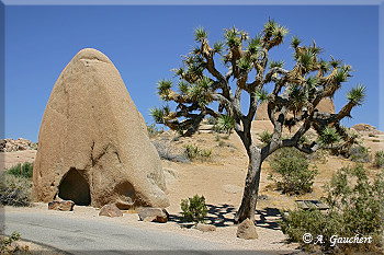 Jumbo Rocks Campground